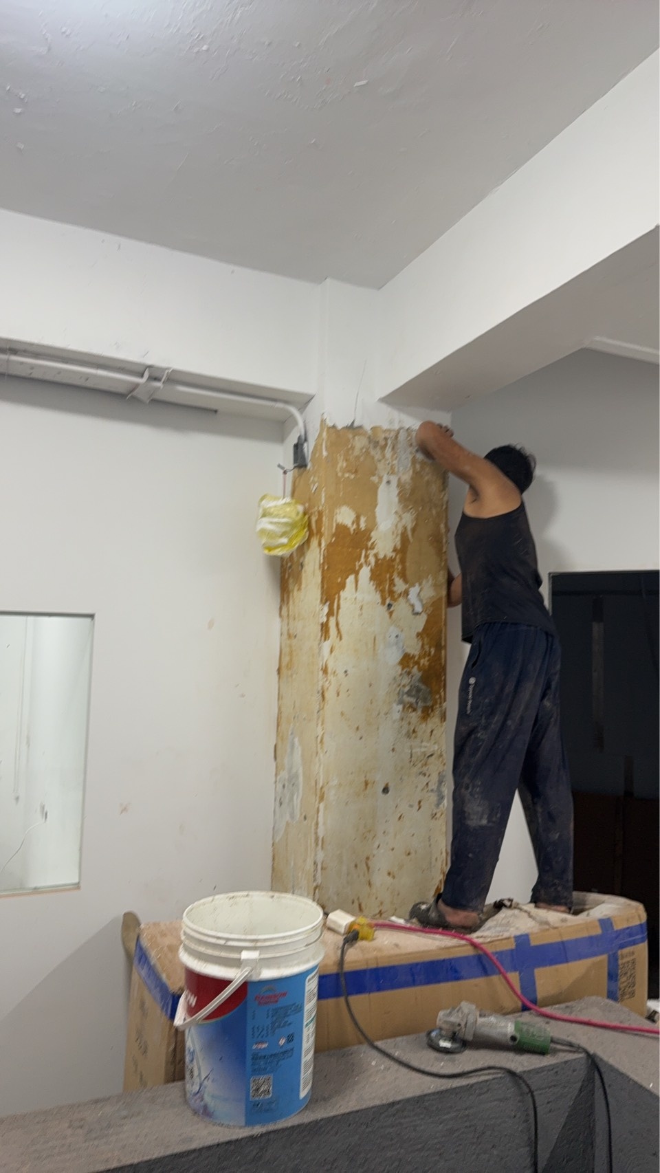 �x�����ȳB�z