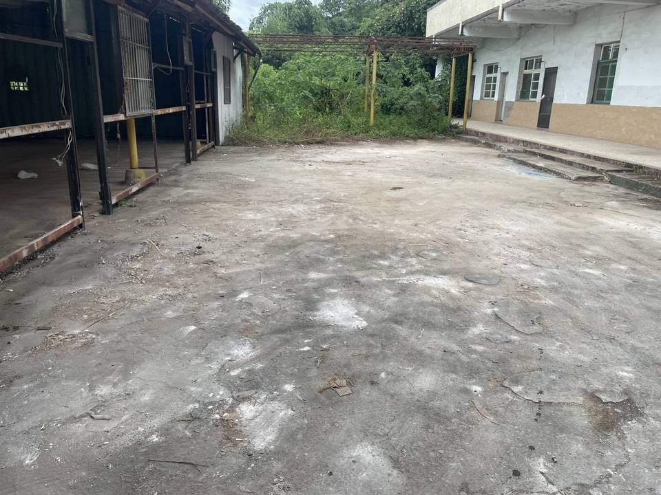 �x���ӥ��ϩ�M�B