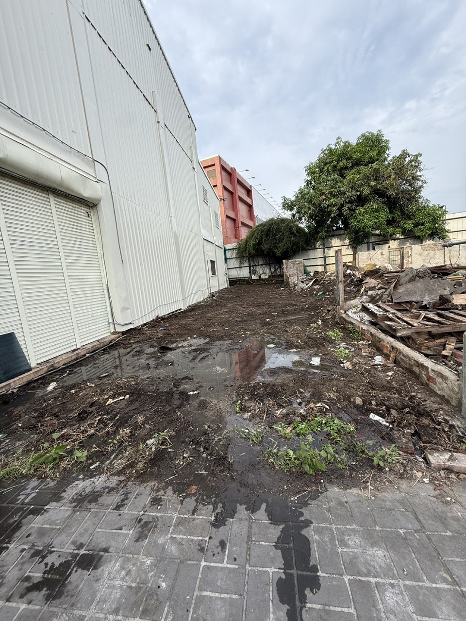 �x�����M���T�q������U�������a�W�㥭